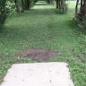 Meet your Posher, Shawn